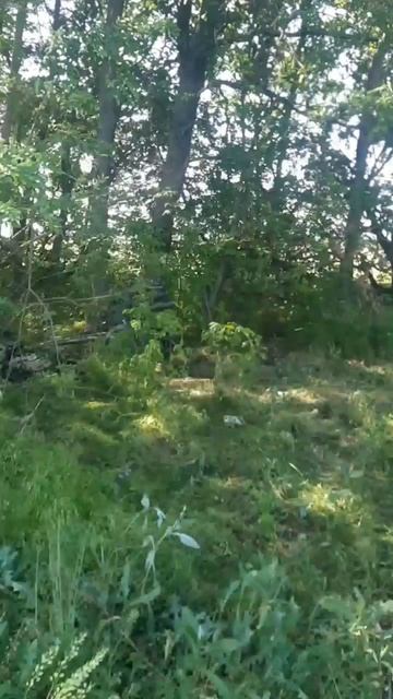 Первые кадры использования Российскими военнослужащими Северокорейской 107-мм РСЗО «Type 75» !!!