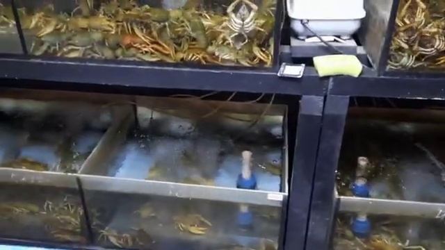 живые раки, снижение цен.