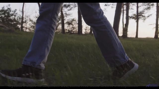 Леса шепчут мелодии прямо в сердце - Похмелье (feat. Maslёnock) -- POVALISHIN DIVISION -- Запрещать