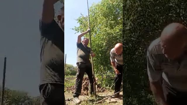 Находка года .Непревзойдённый шедевр.
