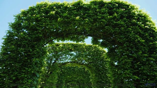 Почему здесь исчезают люди - Blind -- Red Crickets -- Red Crickets