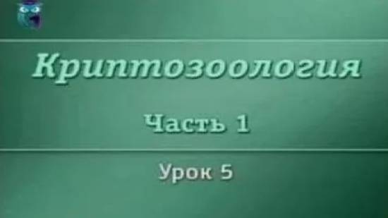 Криптозоология # 1.5. Мокеле-мбембе, чемпекве и другие загадки африканских болот