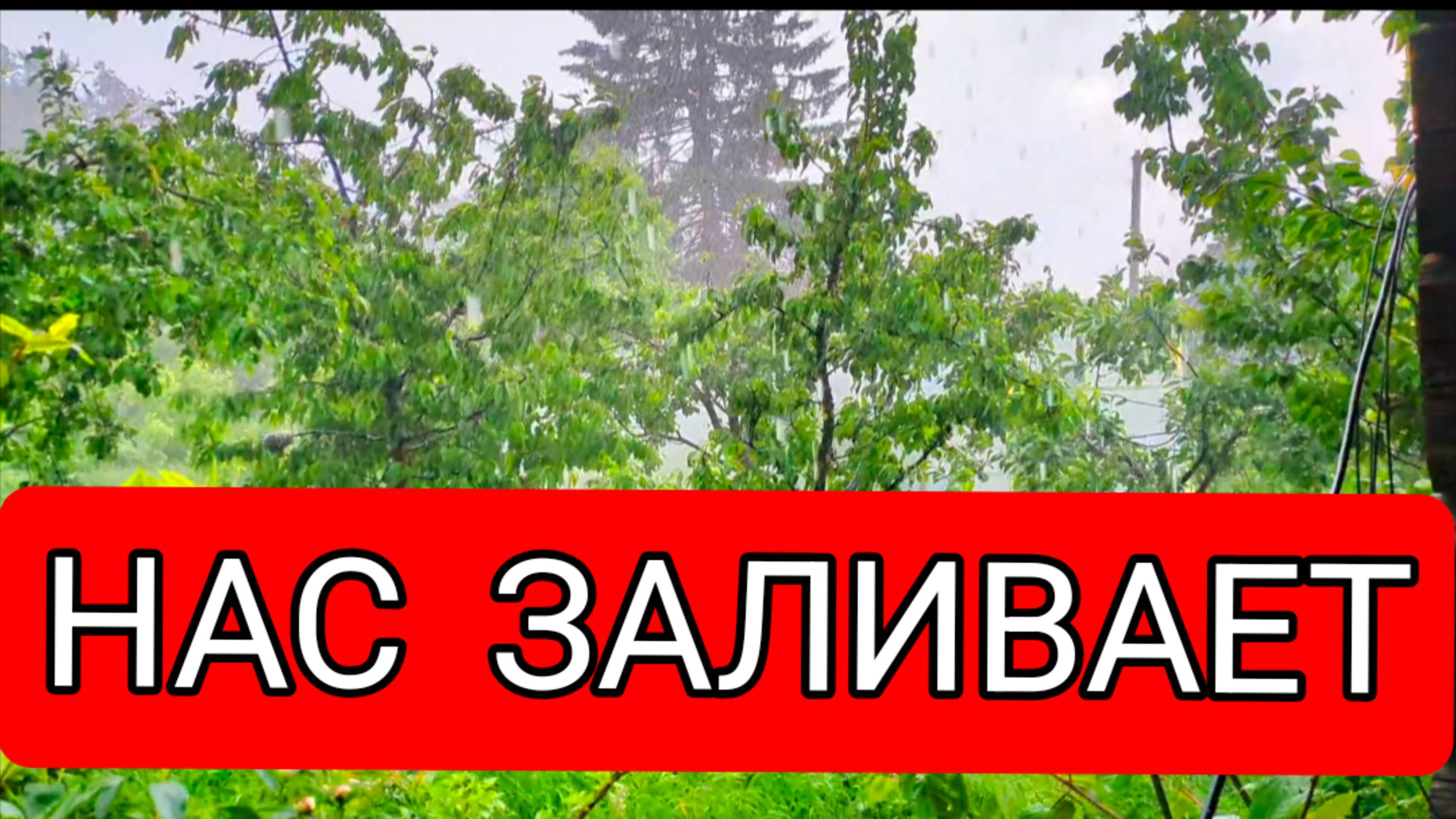НАС ЗАЛИВАЕТ // ЗАШЛИ В СВЕТОФОР