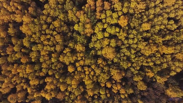 Леса и поля, от которых замирает сердце - meet-n-jam -- Jean Toba -- a land where the poets dream
