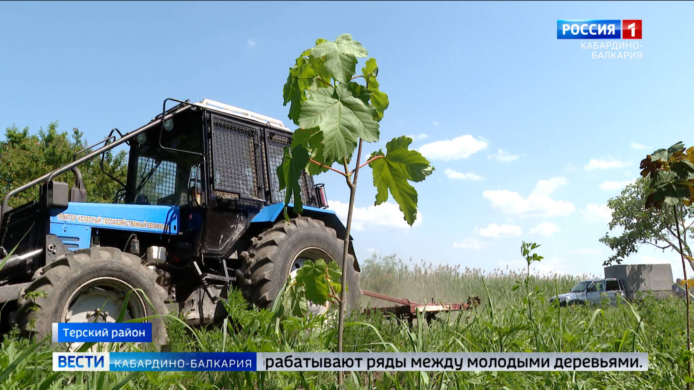 В КБР проведут агротехнический уход за посадками на территории больше полутора тысяч гектаров