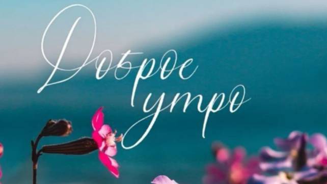 Открытки с добрым утром и пожеланиями хорошего ☕
