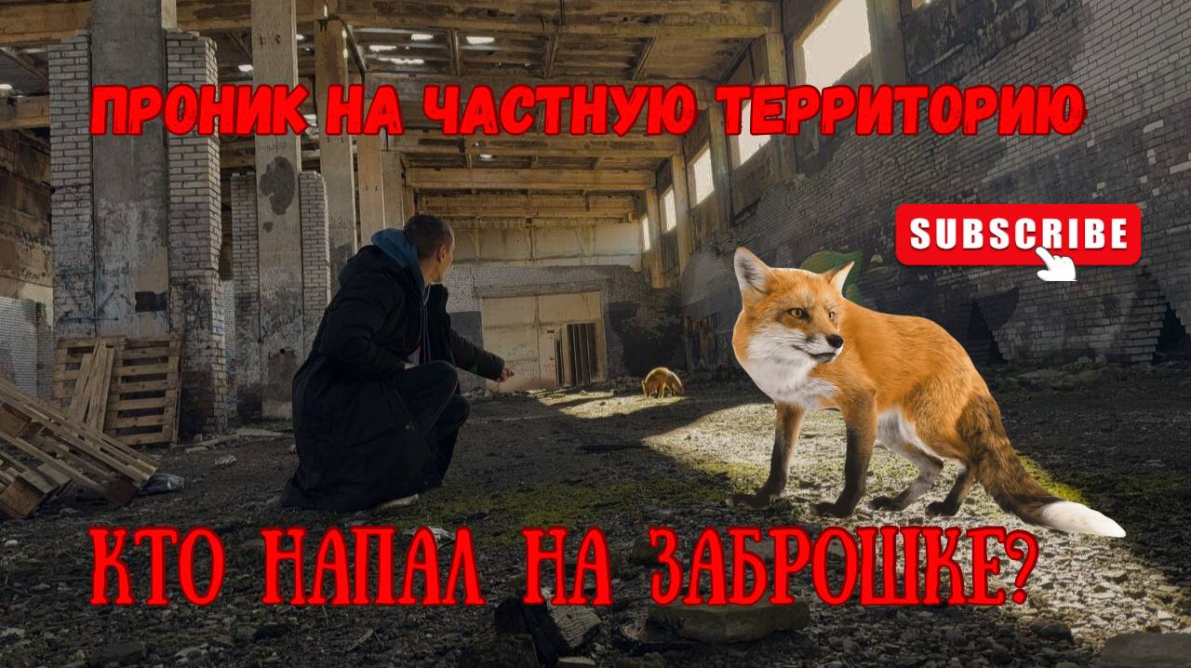 Кто на меня напал на заброшке? Проник на закрытую территорию Что бы меня поймали