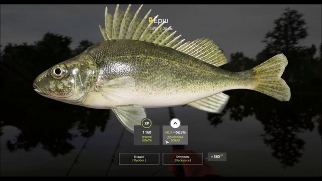 Ёрш, трофейная рыба 145 грамм, озеро Комариное, игра Русская рыбалка 4, снасть, наживка, координаты