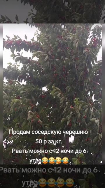 юмор🤣