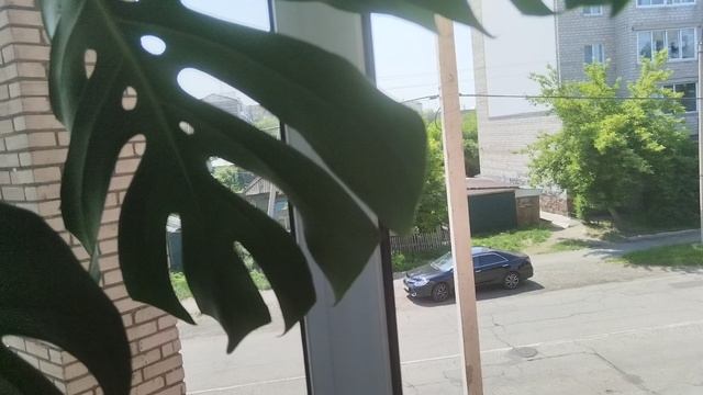 VID_20250613_114528.mp4