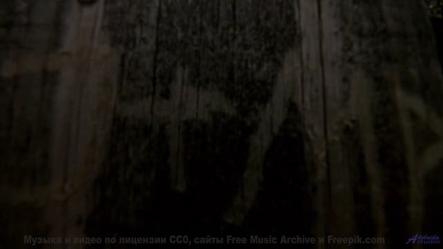 Эта композиция - как шёпот в темноте, от которого дрожь... - Go Go Go -- Omura -- The Whales Bay