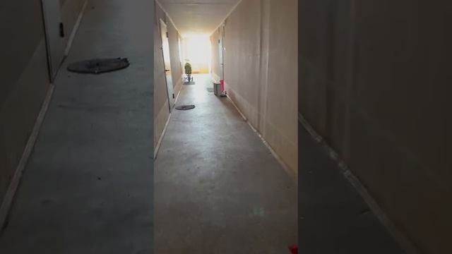 Видео WhatsApp 2025-06-13 в 18.35.51_86a3f699