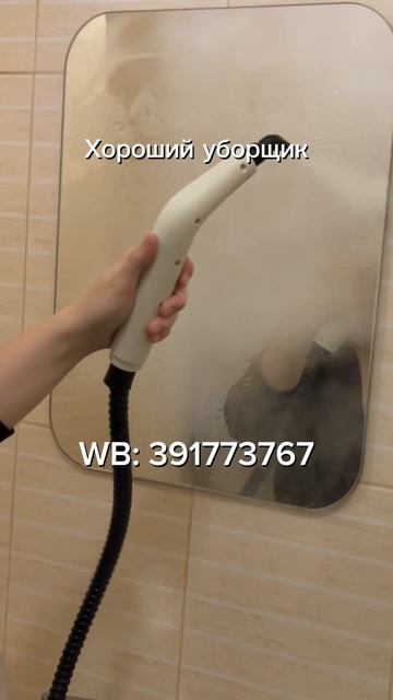 WB: 391773767