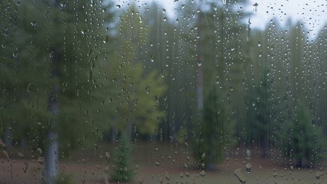 Дождь  в лесу