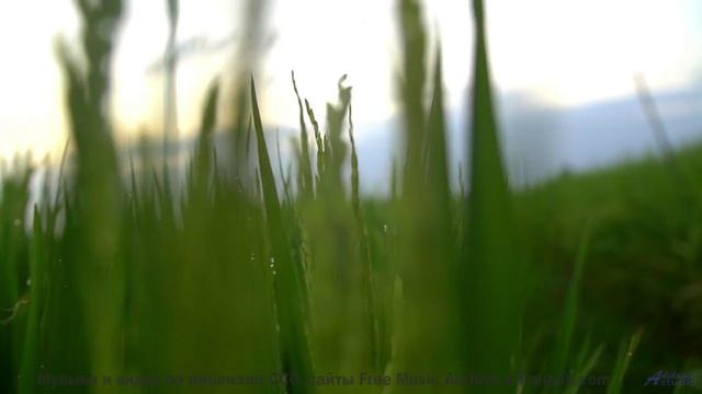 Ты не сможешь остаться равнодушным - это невозможно! - Spirals -- Ketsa -- Summer With Sound