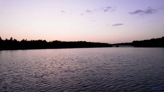 Что скрывает этот туман - Deep In The Night -- Tracyanne And Danny -- Live at WFMU for Gaylord Field