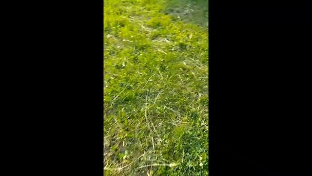3 сезон 2 серия улица