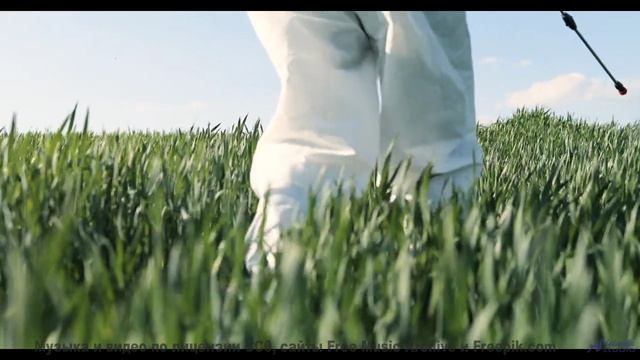 Этот трек станет вашим любимым под фоны - DIOS ES UN CONCEPTO AMBIGUO (feat. LA RANA FIESTA) -- Comp