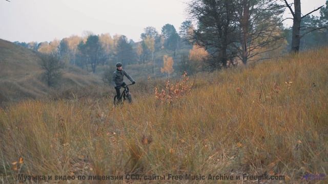 Почему эту мелодию называют музыкой просветления - Deep-Mists -- Ketsa -- Summer With Sound