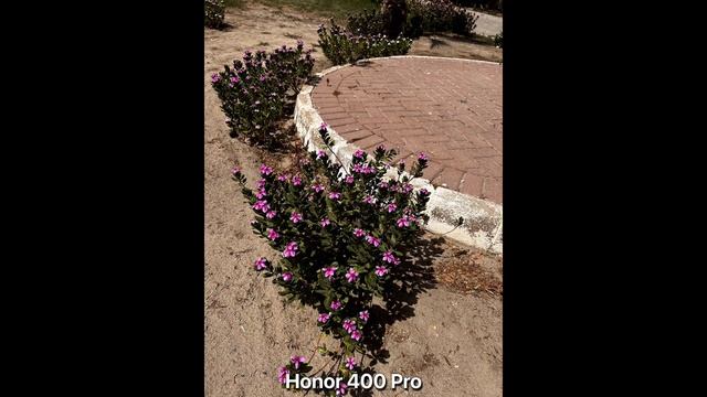 Xiaomi 15s Pro vs Honor 400 Pro - сравнение камер в реальной жизни