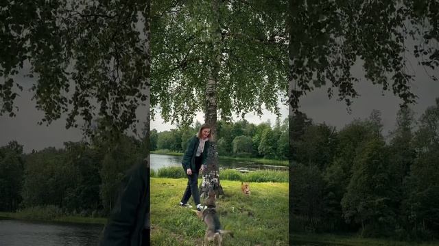 Грустная история
