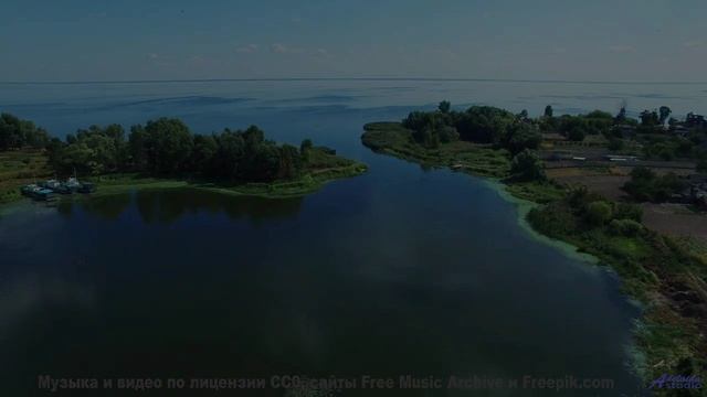 Леса шепчут мелодию прямо в душу зрителя - Lifes Rhythms -- Independent Music Licensing Collective (