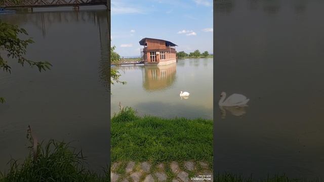 1000214056.mp4