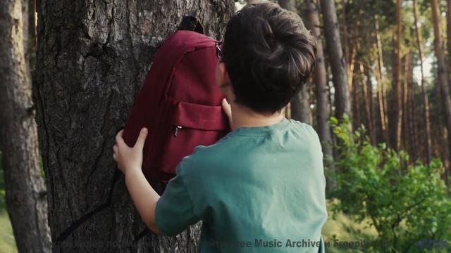 Закат, море и мелодия, от которой тает сердце! - Cara roja (XL) -- opo -- Estudios Indigeniformes