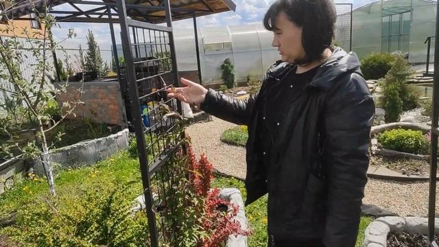 Обо всём по немногу.Фигурки,рыбалка,караси....Вставляе?