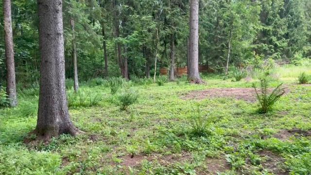 Продается участок в КП Шадрино. Часть 2