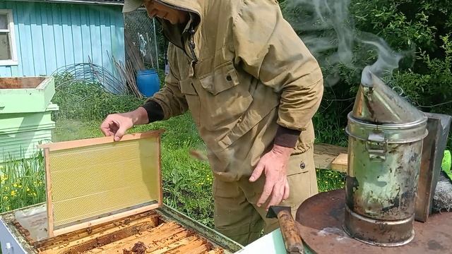 Кто хочет 🍯🍯🍯 Меда.Вставляем рамки в улей.