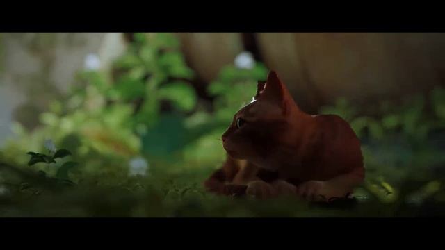 Stray. Прохождение игры #1