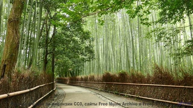 Вы никогда не видели природу такой - это шокирует! - Pop Goes the Mullberry Bush -- New Millennium S