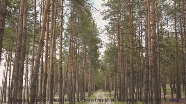 Эта дорога ведёт к месту, где рождаются чувства... - Kaamalot -- AKMV-18 -- Damnatio Memoriae EP