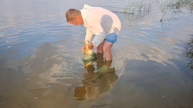 Ловим сазана 🐟 и отпускаем