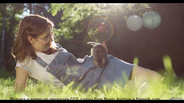 Почему рыбы в аквариуме сходят с ума от этой мелодии - Happy Ending -- Scott Holmes Music -- Happy B
