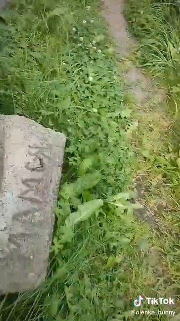 Самая красивая девочка ящерица