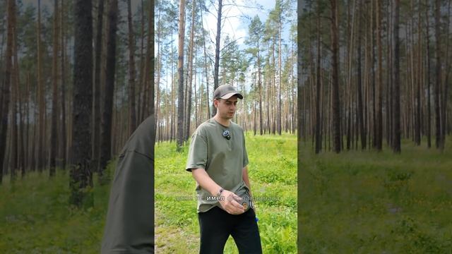 Режим создателя — твой путь к настоящему