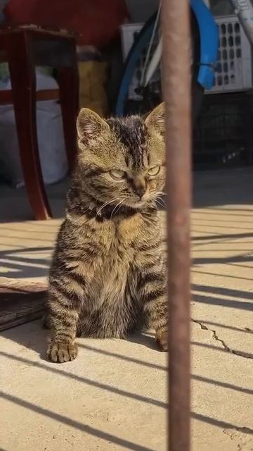 Чё такой недовольный?