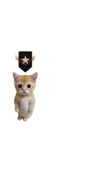 КАК РАБОТАЕТ STANDOFF 2, ОБЪЯСНЯЮ НА КОТЯТАХ