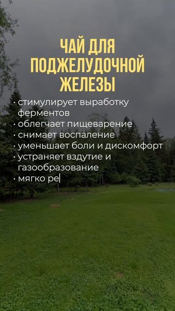 Чай для поджелудочной железы