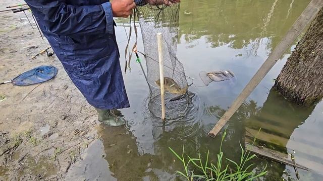 13.06.25 г. Парк отдыха водопад
