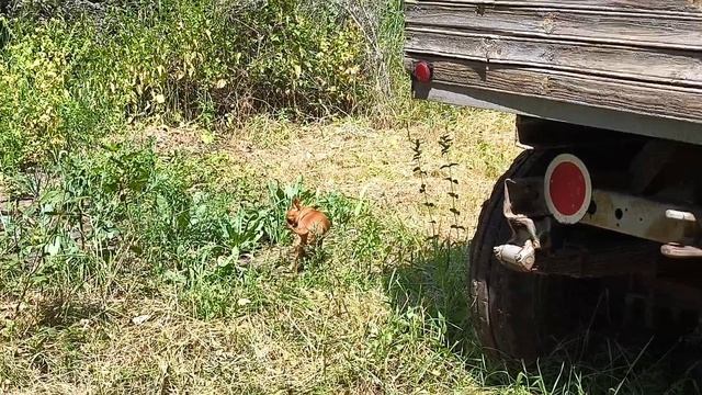 сколько взяли от природы
