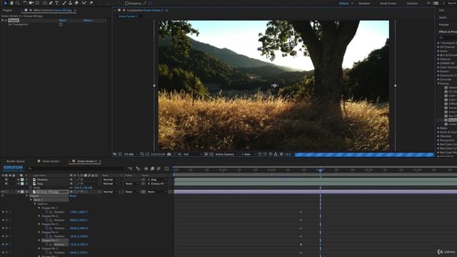 After Effects Course 052 Adding Motion to a Still Image with the Puppet Tool