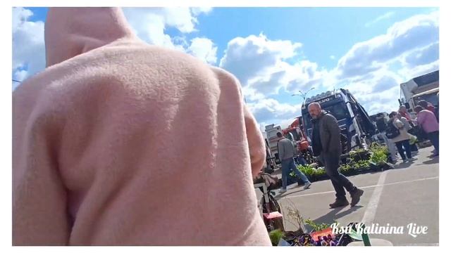 🛒 ХАРЬКОВ ~ КОННЫЙ РЫНОК ~ ЧТО ПОСАДИТЬ? САЖЕНЦЫ, РАССА