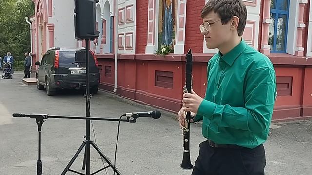 Черный кот