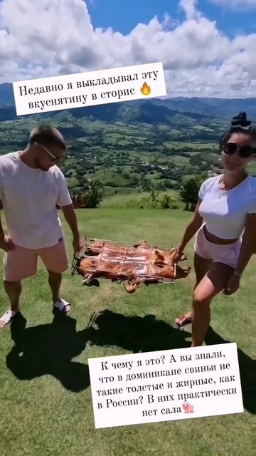 А вы знали, что свиньи в Доминикане не такие толстые и жирные, как в России?
