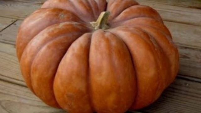Даже кусочек ТЫКВЫ вызывает НЕОБРАТИМЫЕ ПРОЦЕССЫ в ор