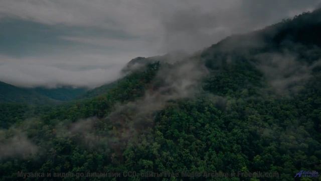 Каждый кадр - словно открытка, ожившая под музыку - Hurry Ellie -- Taylor Poe -- 10 Million Babies