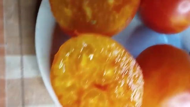 Каталог томатов 2024 г., в том числе коллекционные сорта.